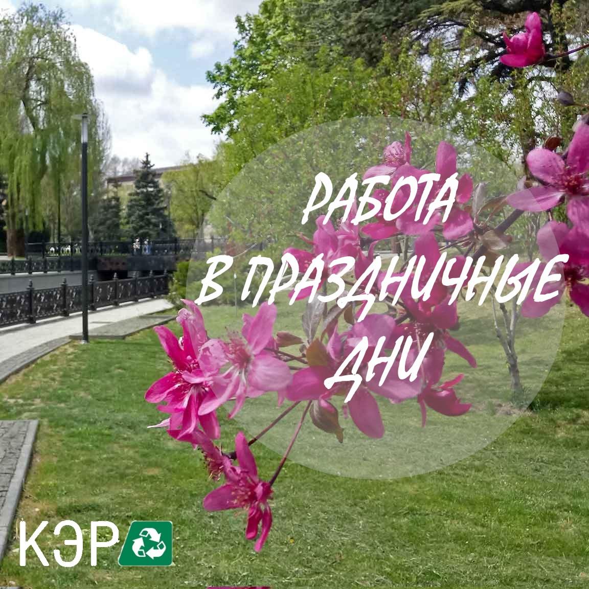 РАБОТА В ПРАЗДН